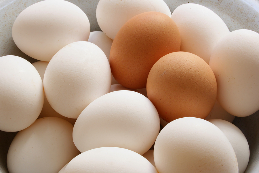 bigstockphoto_eggs_1476910.jpg